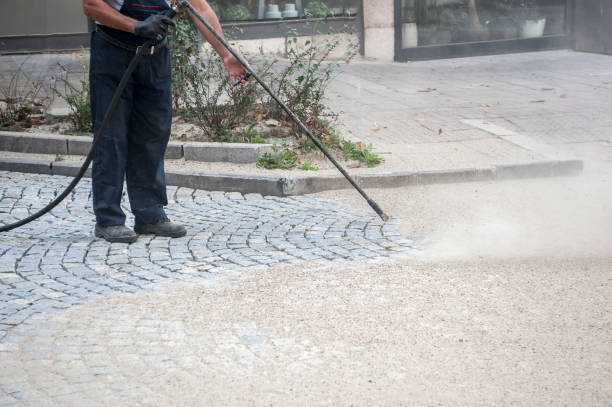 Best Pre-Holiday Cleaning  in Herculaneum, MO